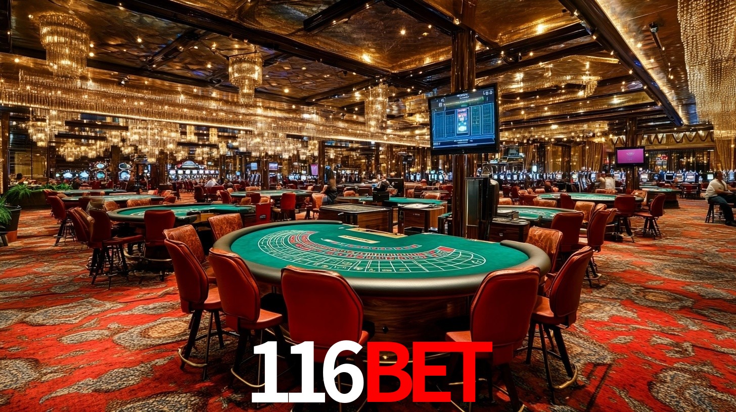 116bet app